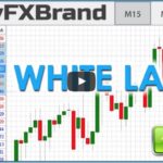 3 Reasons You Shouldn’t Start a Forex White Label