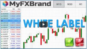 3 Reasons You Shouldn’t Start a Forex White Label