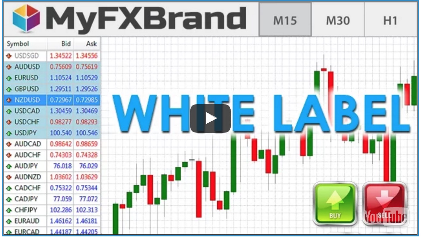 3 Reasons You Shouldn’t Start a Forex White Label